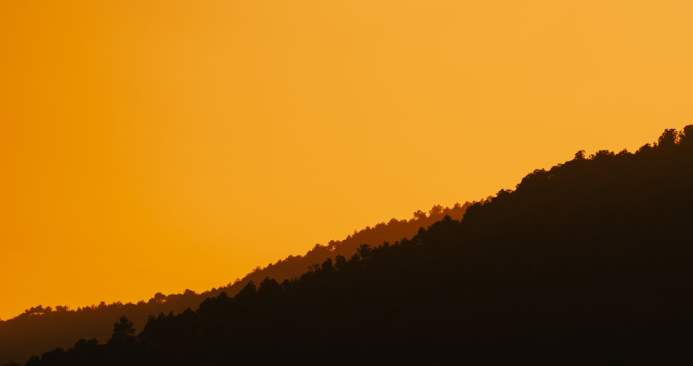 the silhouette of a mountain with a bird flying over it