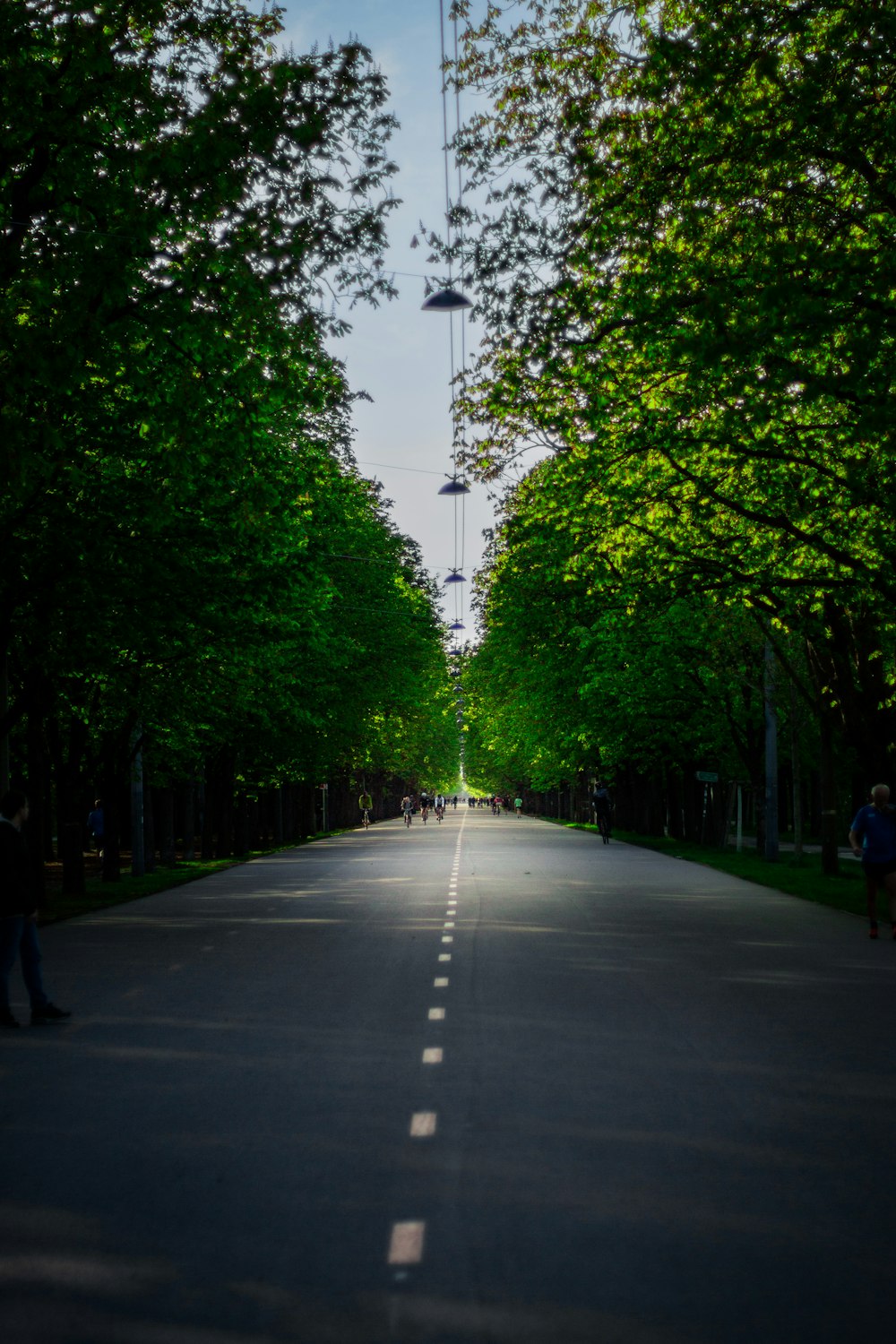 a street lined with trees and people walking down it
