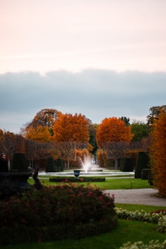A modern garden with neatly trimmed hedges and a small water fountain centerpiece.
