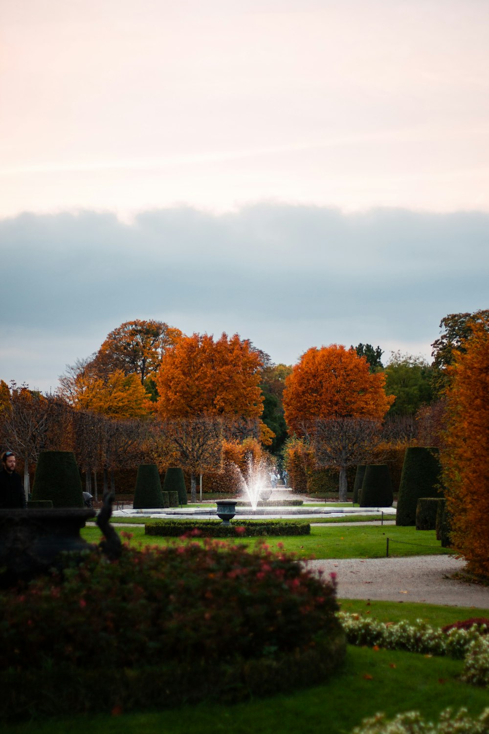 un parco con una fontana circondata da alberi