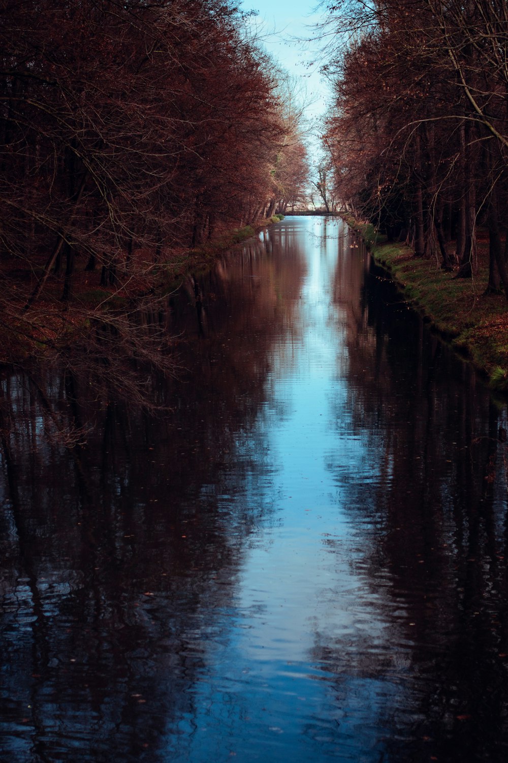 a narrow waterway with trees lining both sides