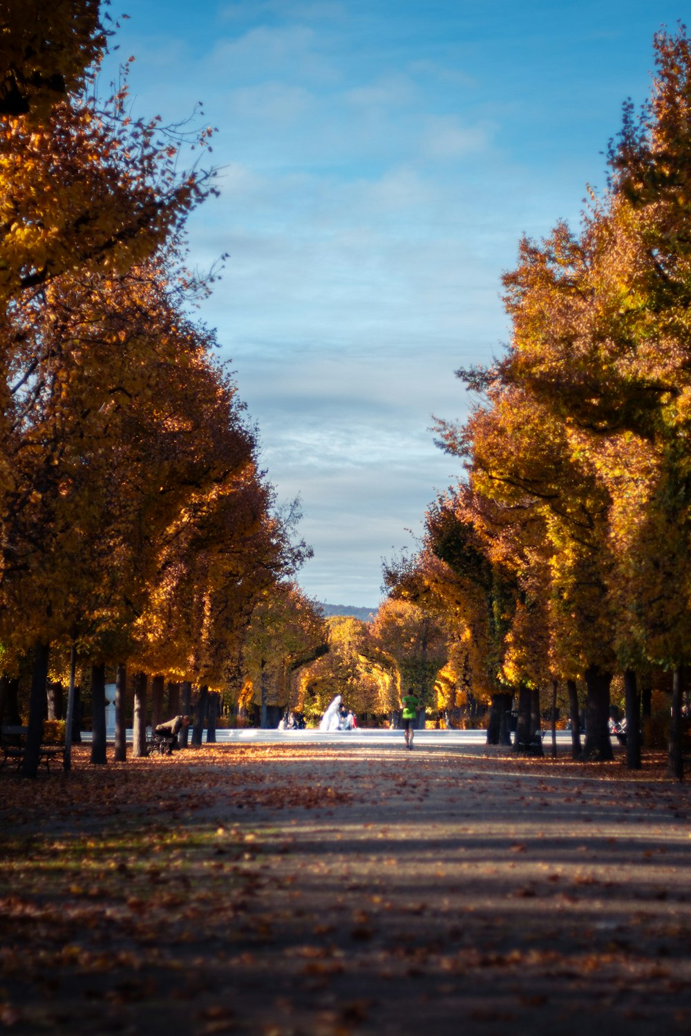 a couple of people walking down a road surrounded by trees