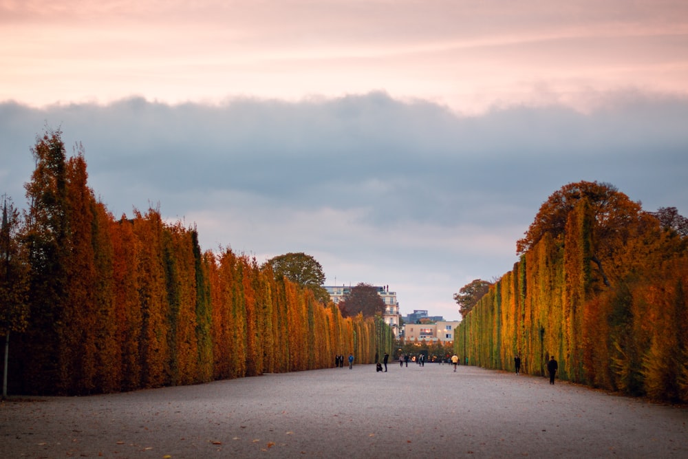 a group of people walking down a street next to tall trees