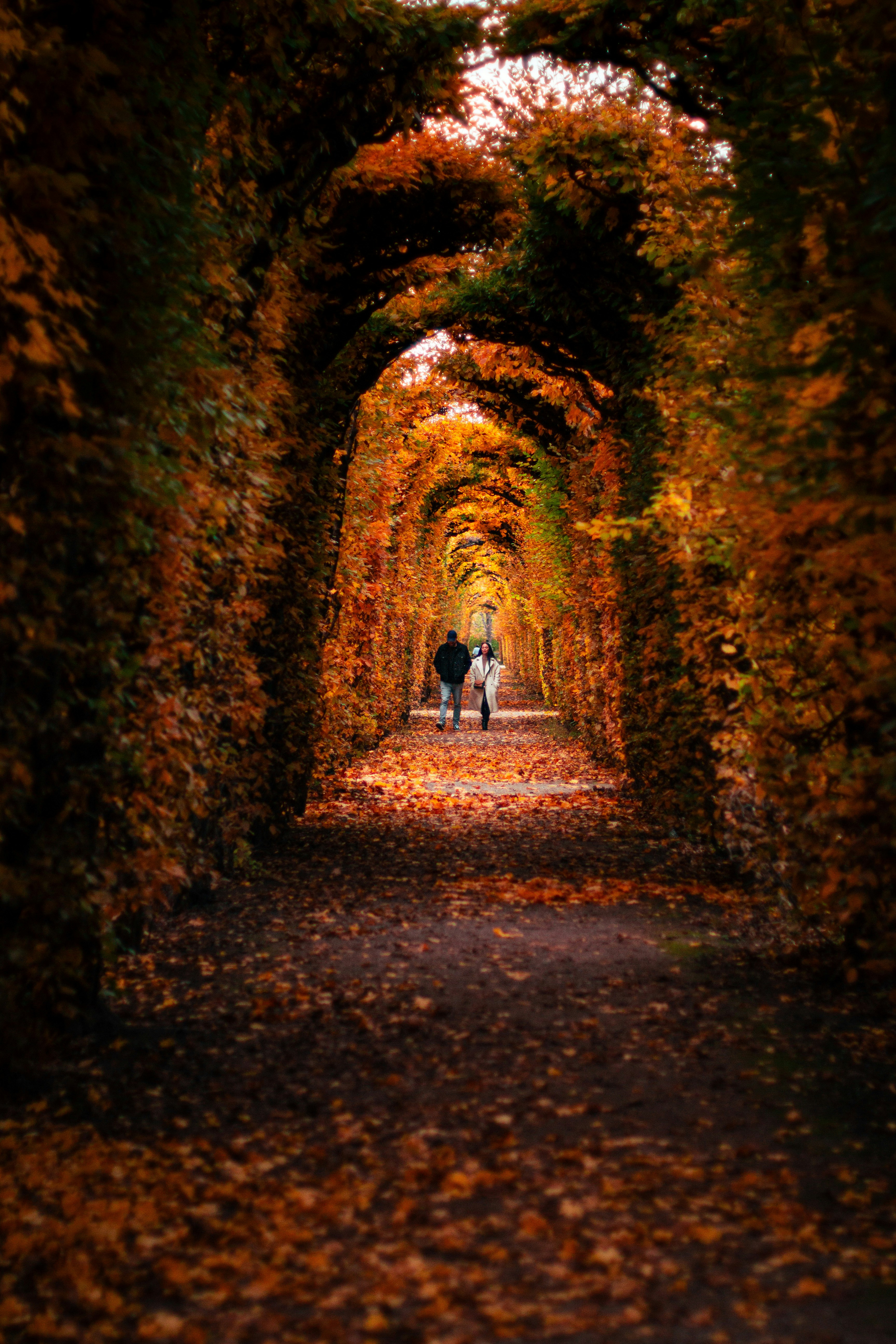 Photo by designbyeb