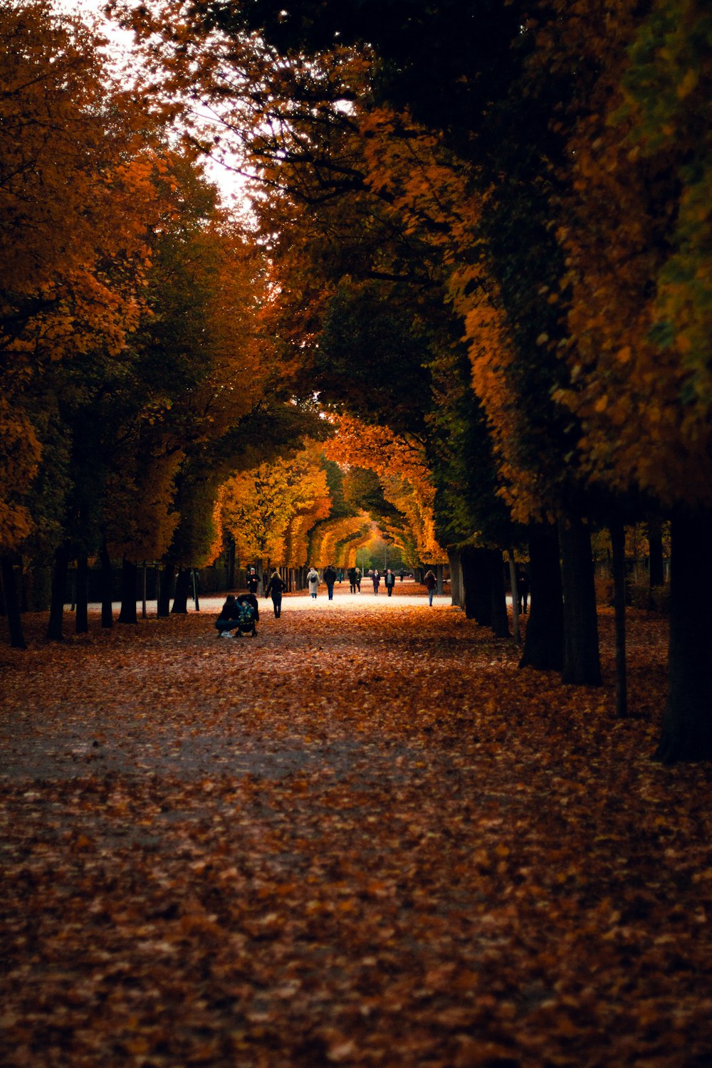 a person sitting on a bench in the middle of a park