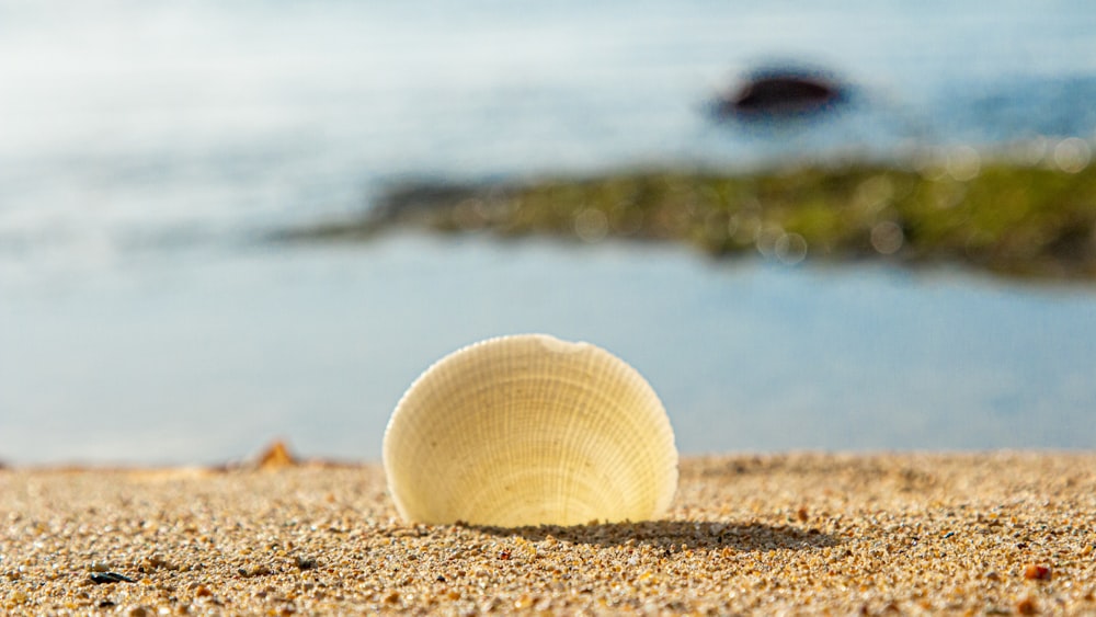 a white frisbee laying on top of a sandy beach