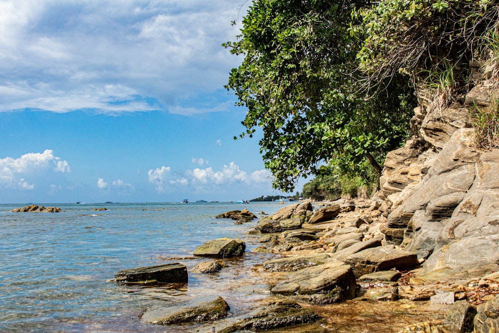 a view of the ocean from a rocky shore