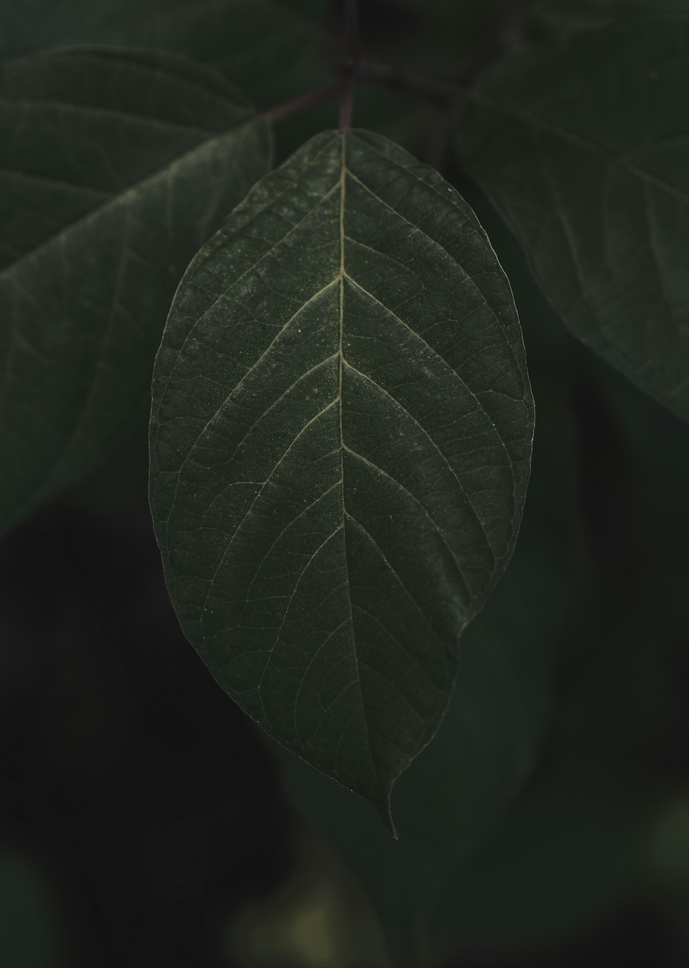 Photo by fredrikwandem