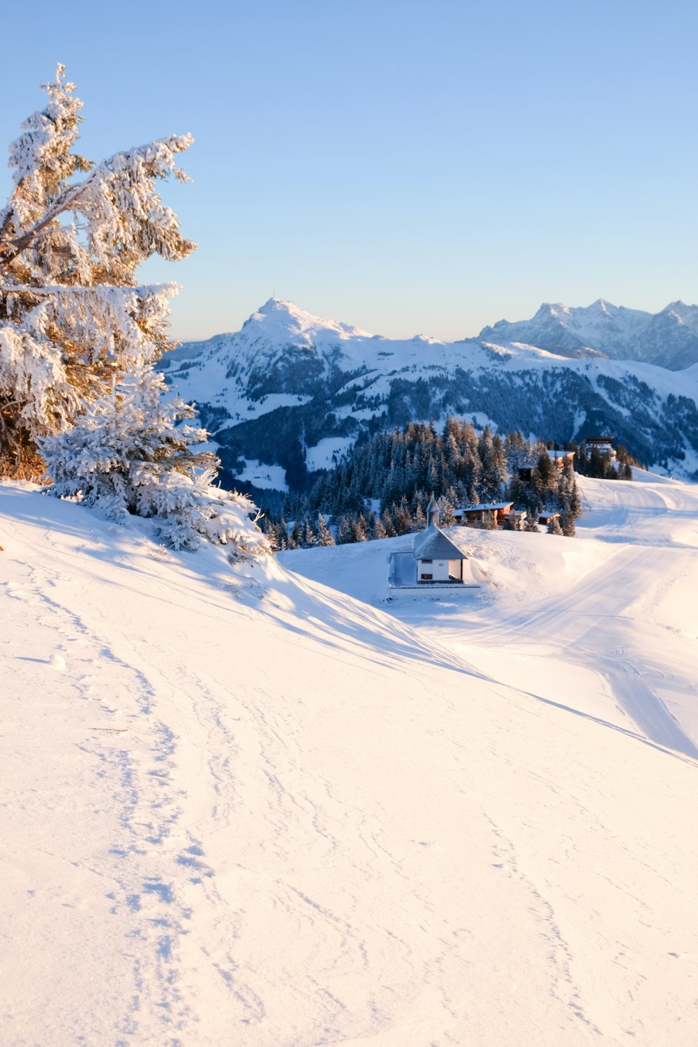 a person riding skis on a snowy surface