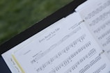 A sheet of music is open on a stand outdoors, featuring the piece 'Every Breath You Take' arranged for violoncello by Lorenzo Golofeev. The pages are held in place with rings, and the background is a blurred green, likely grass.