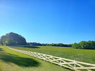 A vast green field bordered by a wooden fence stretches toward a dense line of trees under a clear blue sky. The bright sunlight casts vibrant shadows on the grassy landscape, creating a serene and peaceful rural scene.