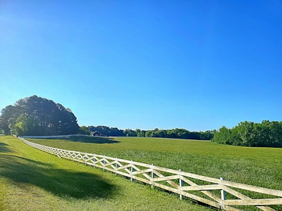 A vast green field bordered by a wooden fence stretches toward a dense line of trees under a clear blue sky. The bright sunlight casts vibrant shadows on the grassy landscape, creating a serene and peaceful rural scene.