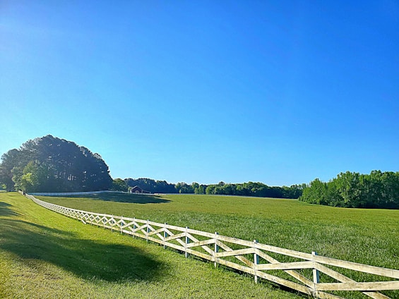A serene plot of lush green land bordered by a rustic fence under a clear blue sky in Gujarat.