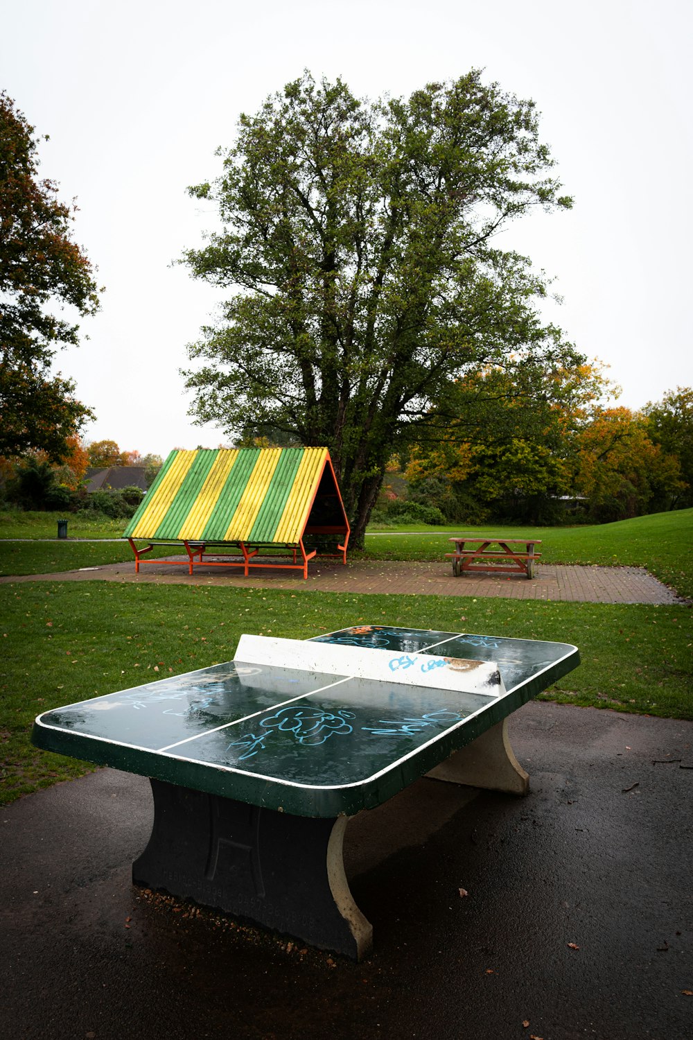 un tavolo da ping pong nel mezzo di un parco