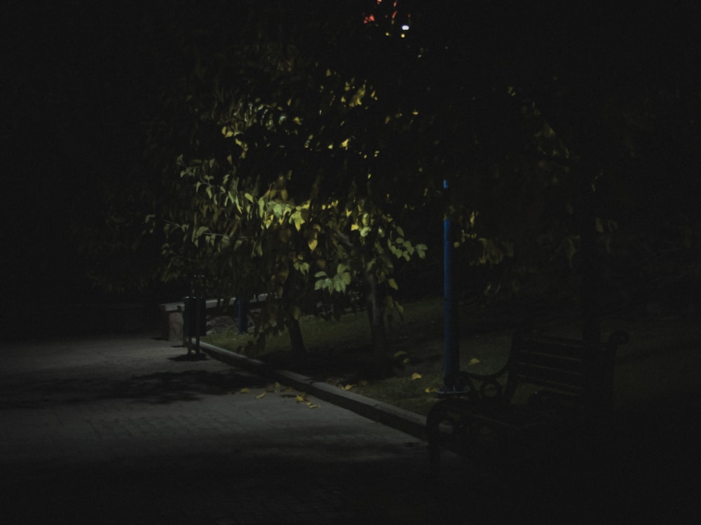 a bench in a dark park at night