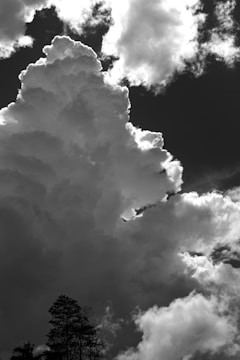 A dramatic black and white photograph featuring a towering, cumulus cloud formation dominating the sky. The clouds have an intricate texture with bright highlights and deep shadows, contrasted against a dark backdrop. Silhouetted trees are visible at the bottom, adding depth and scale to the scene.