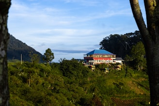 a house on a hill surrounded by trees