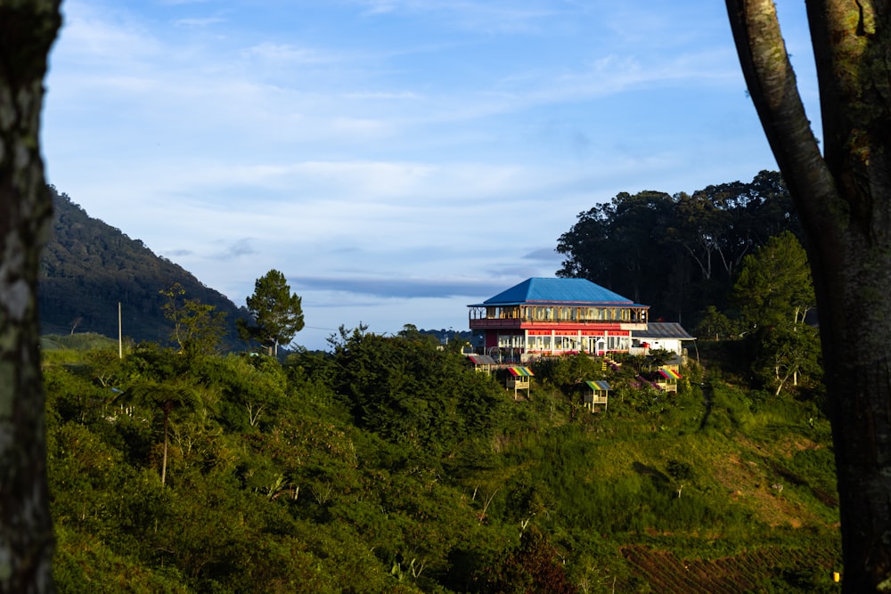 a house on a hill surrounded by trees