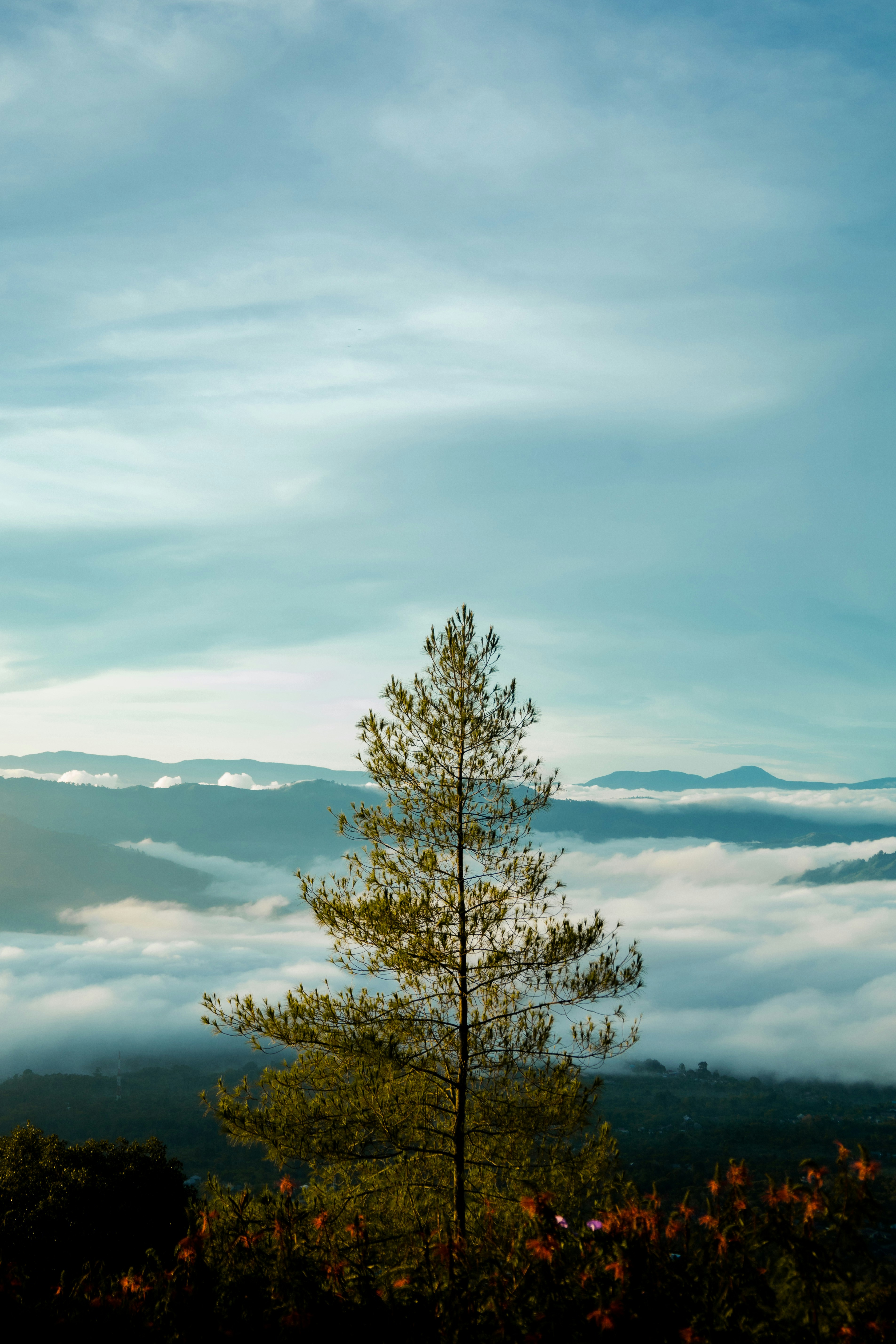 Photo by teguhyudhatama