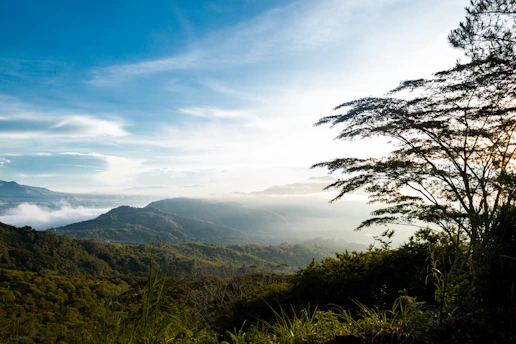 A serene Indonesian landscape with lush green hills under a clear sky, symbolizing growth and hope.