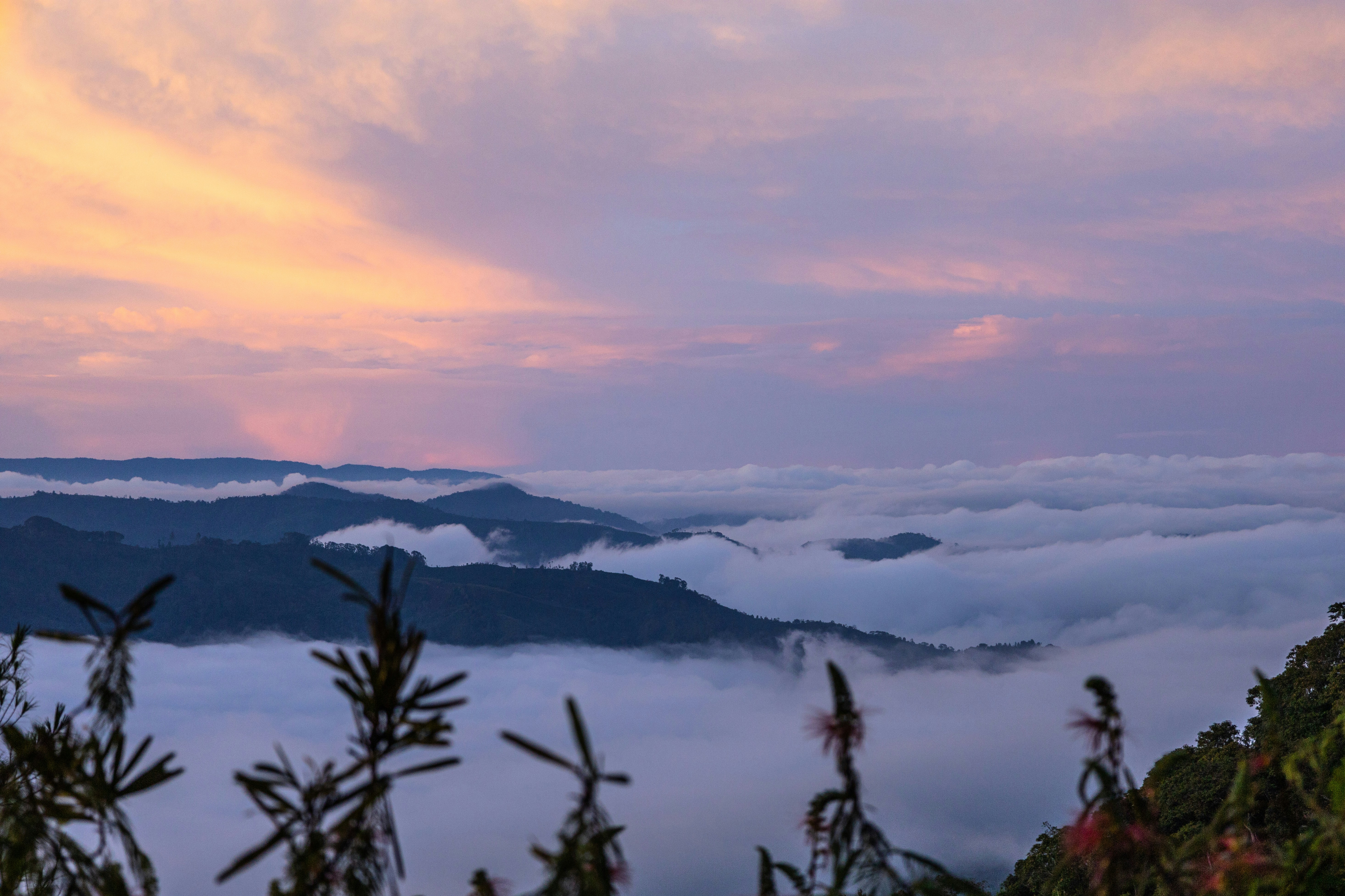 Photo by teguhyudhatama