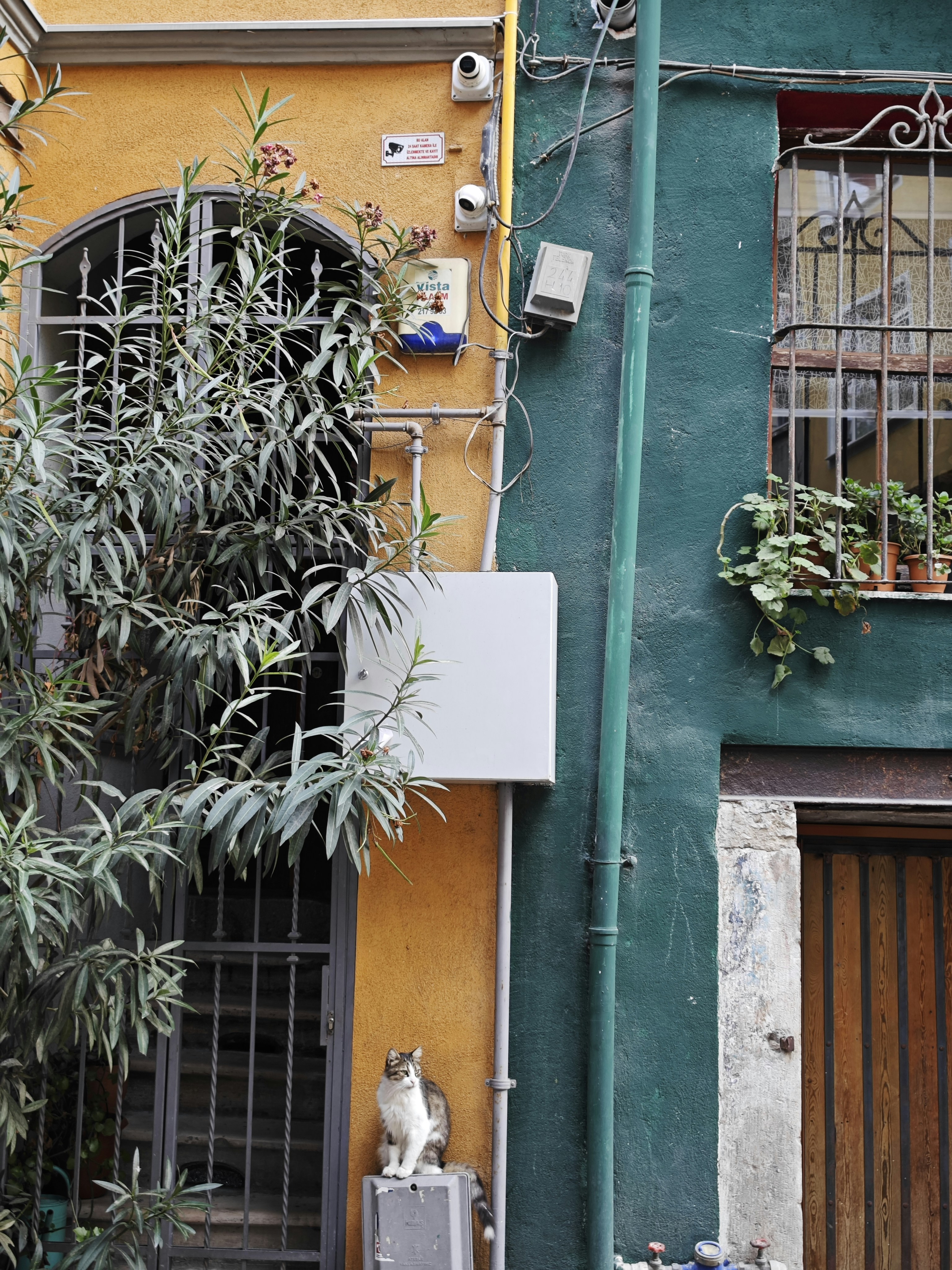 woman wearing yellow long-sleeved dress under white clouds and blue sky during daytime