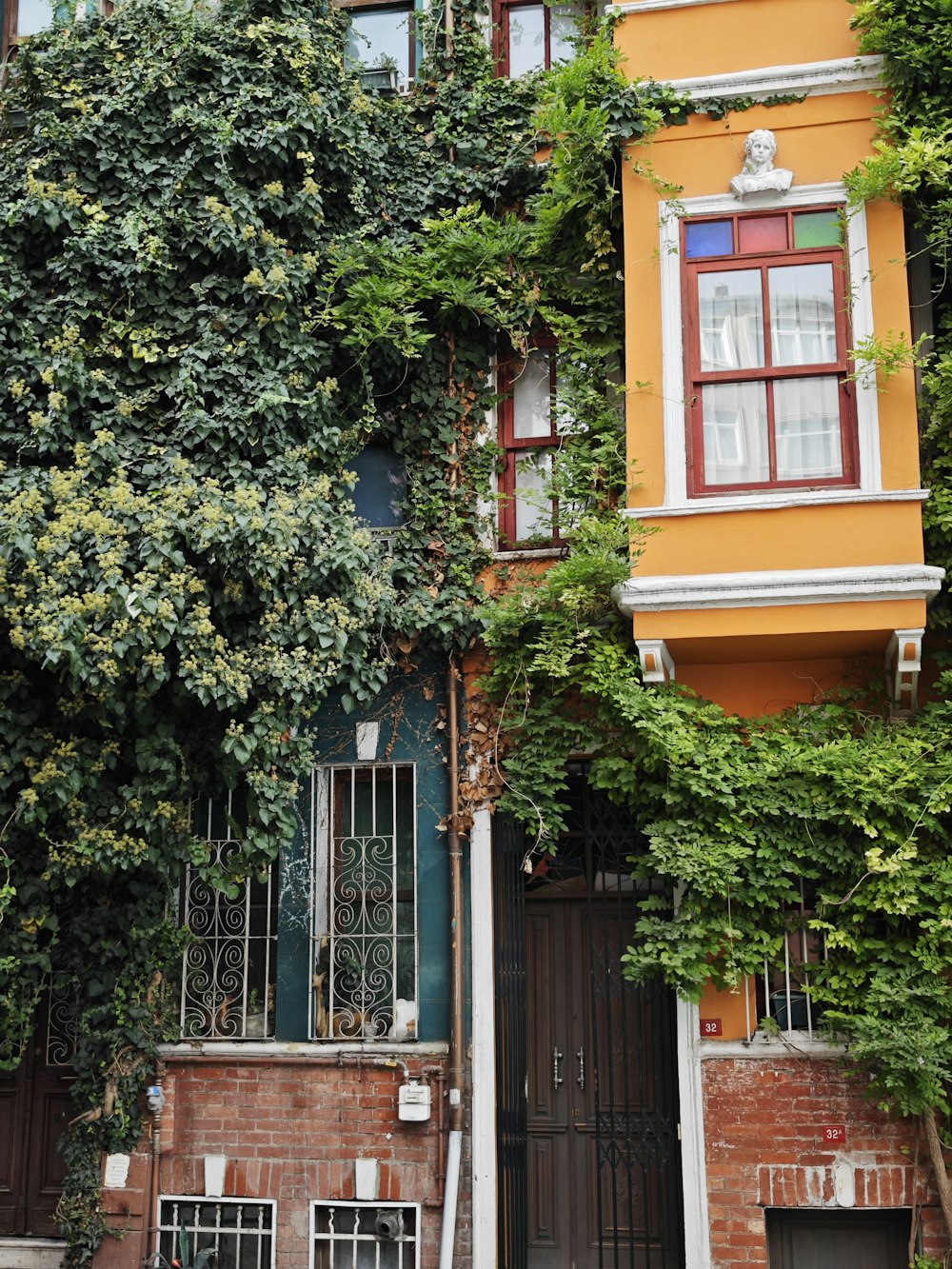 a building with a bunch of vines growing on it