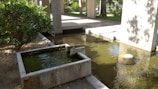 A tranquil water feature in a landscaped yard.