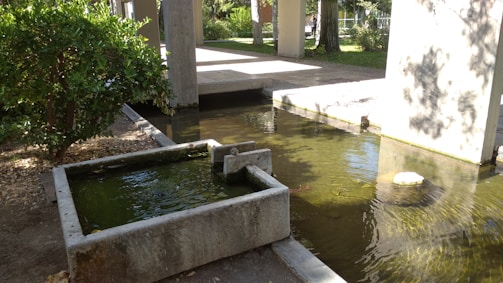 A tranquil water feature in a landscaped yard.