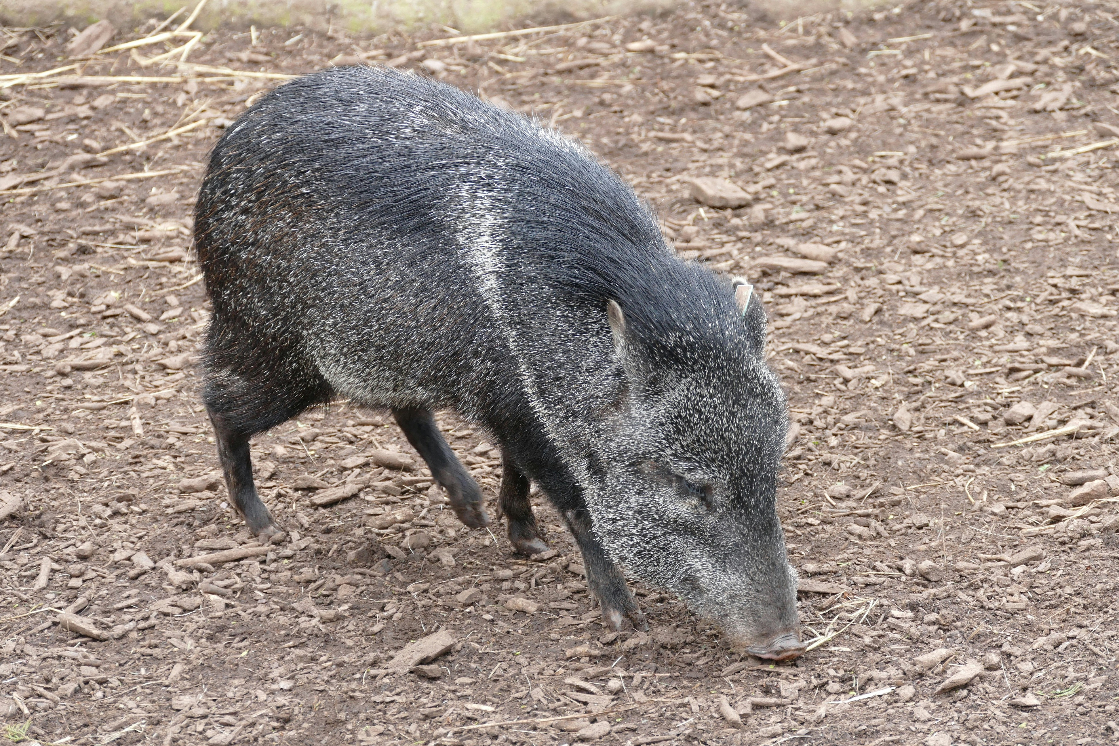 Photo by inspiredimages