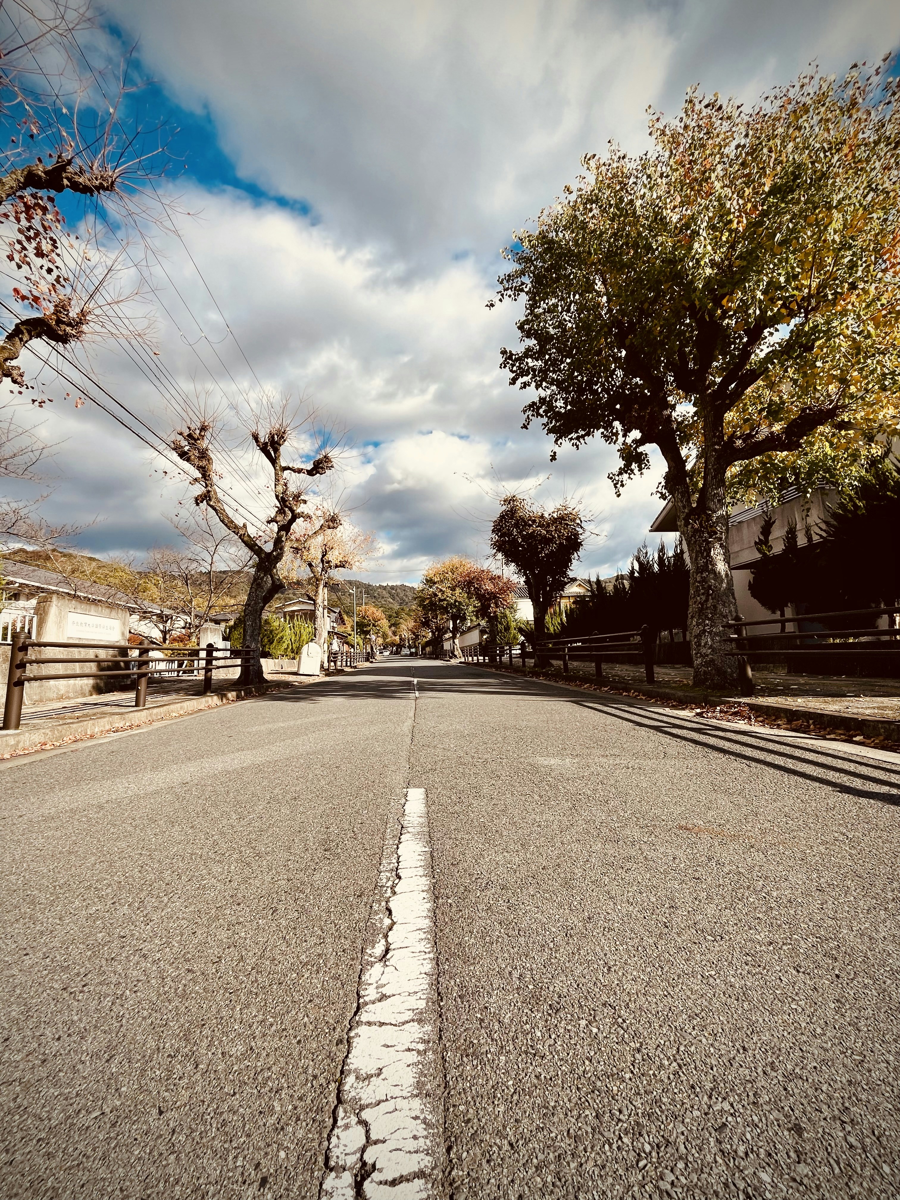 Photo by 0xjiaxin