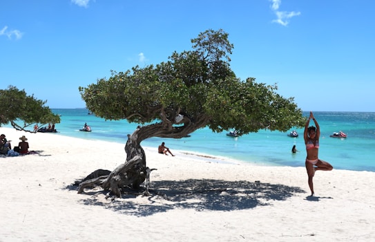 A beach scene with a distinctive windswept tree growing on white sand. A woman in a bikini is performing a yoga pose next to the tree. The turquoise ocean extends into the horizon, dotted with several jet skis. People are relaxing in the background, enjoying the sun and sea.