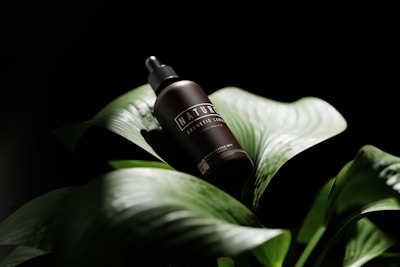 a close up of a green plant with a black background
