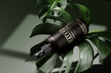 A dark bottle labeled 'NATURE' rests on a large green monstera leaf, with a dropper cap. The scene has a smooth, natural aesthetic complemented by soft lighting and shadows.