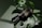 A dark bottle labeled 'NATURE' rests on a large green monstera leaf, with a dropper cap. The scene has a smooth, natural aesthetic complemented by soft lighting and shadows.
