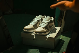 a pair of sneakers on display in a room
