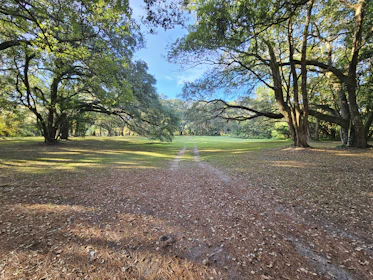 A peaceful natural landscape with a clear path leading forward, symbolizing journey and self-discovery.