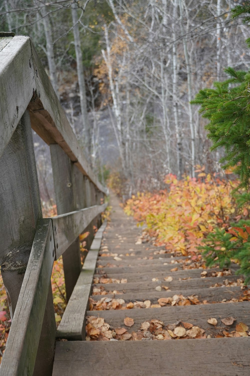 a wooden bench sitting on top of a wooden walkway