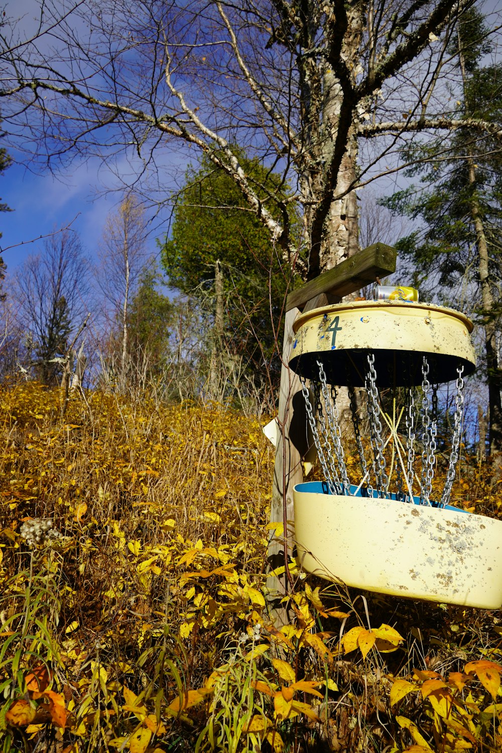 a broken outhouse in the woods with a tree in the background