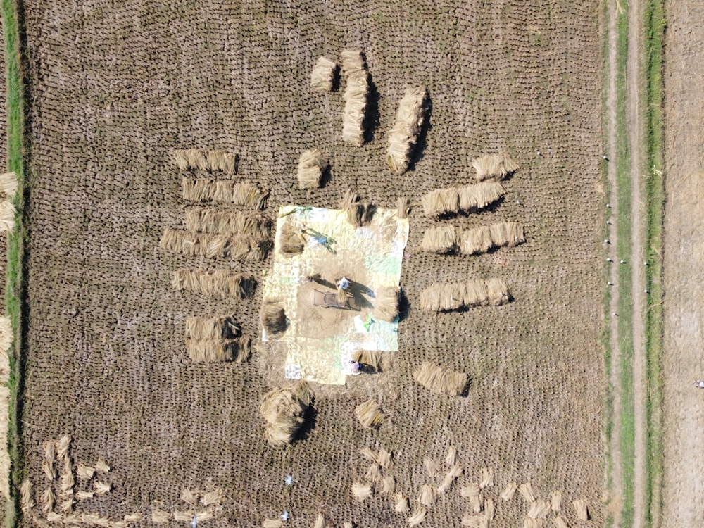 an aerial view of a farm field with a lot of animals