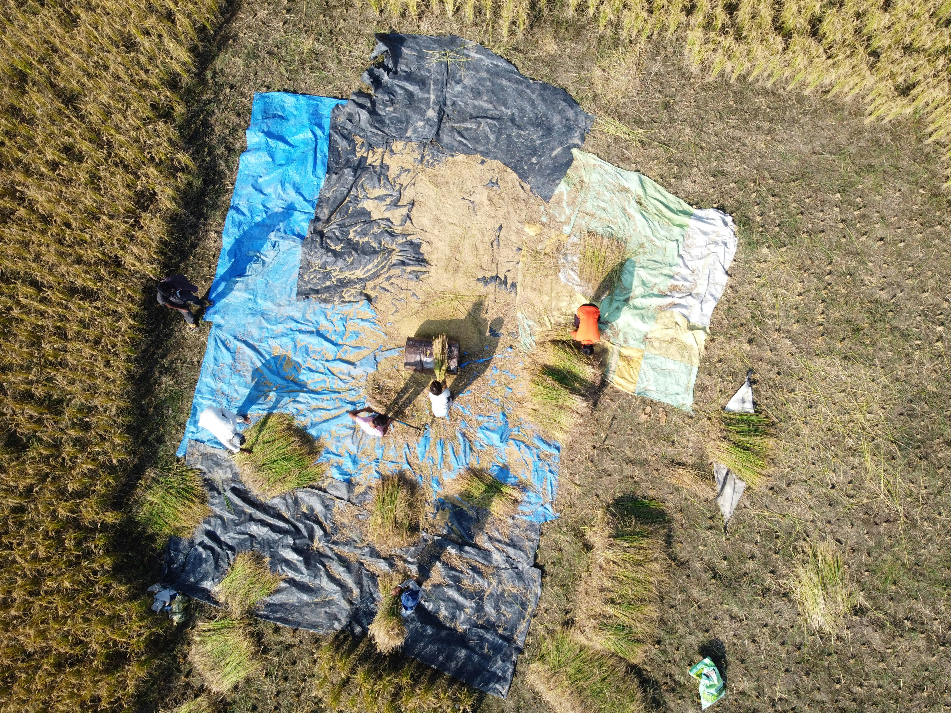 An aerial view of a field with a tarp on it photo Free Punjab Image