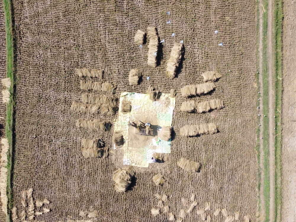 uma vista aérea de um campo com uma impressão de mão no meio dele