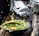 A vibrant splash of green and yellow soup or sauce captured mid-air, with droplets artistically scattering around. A piece of corn is visible in the liquid, resting in a dark, rustic bowl that contrasts with the rich, wooden surface beneath it. In the background, folded white napkins and blurred kitchenware add to the dynamic yet organized composition.