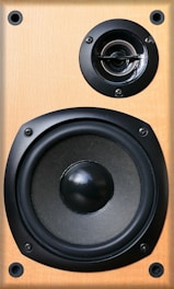 A close-up view of a wooden speaker with a large black woofer and a smaller tweeter. The speaker has a natural wood finish and is secured with screws. 