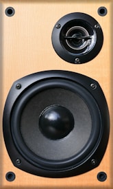 A close-up view of a wooden speaker with a large black woofer and a smaller tweeter. The speaker has a natural wood finish and is secured with screws. 
