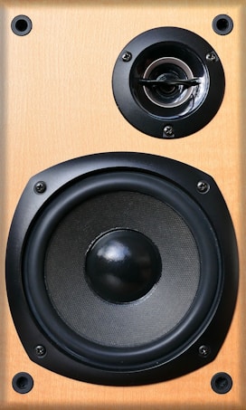 A close-up view of a wooden speaker with a large black woofer and a smaller tweeter. The speaker has a natural wood finish and is secured with screws. 