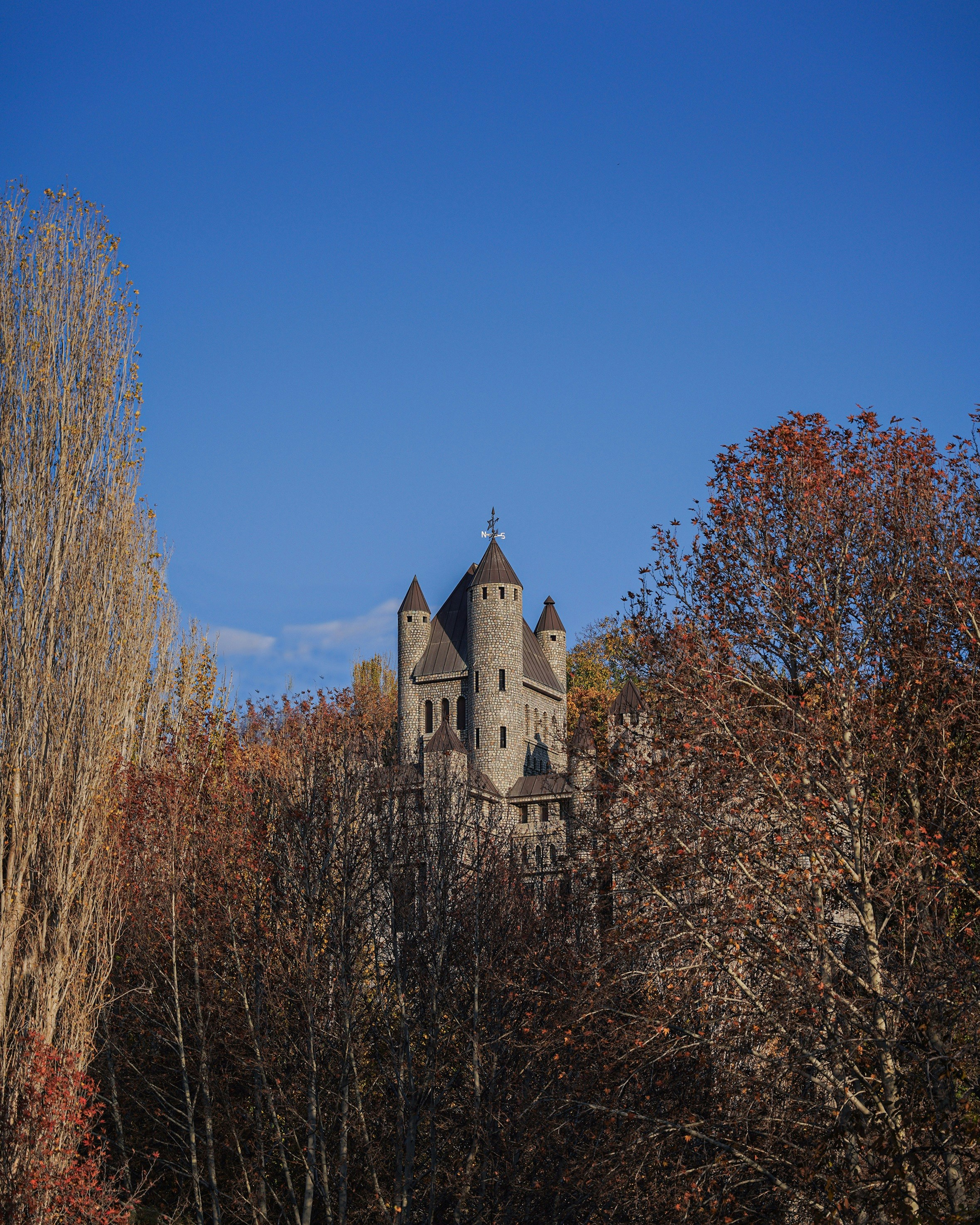 Photo by mahyar_mirghasmi