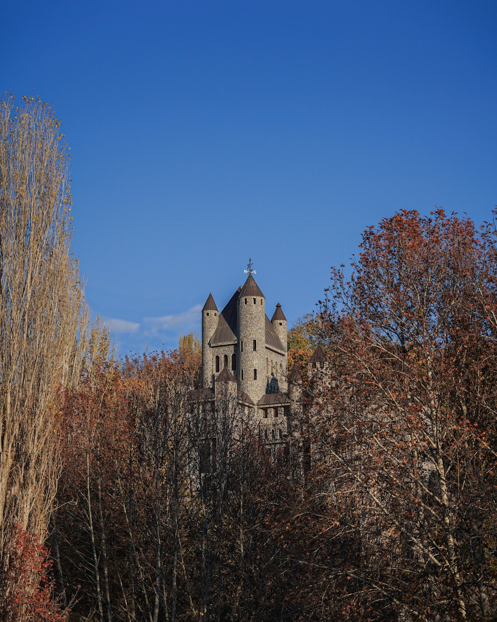 a castle in the middle of a forest