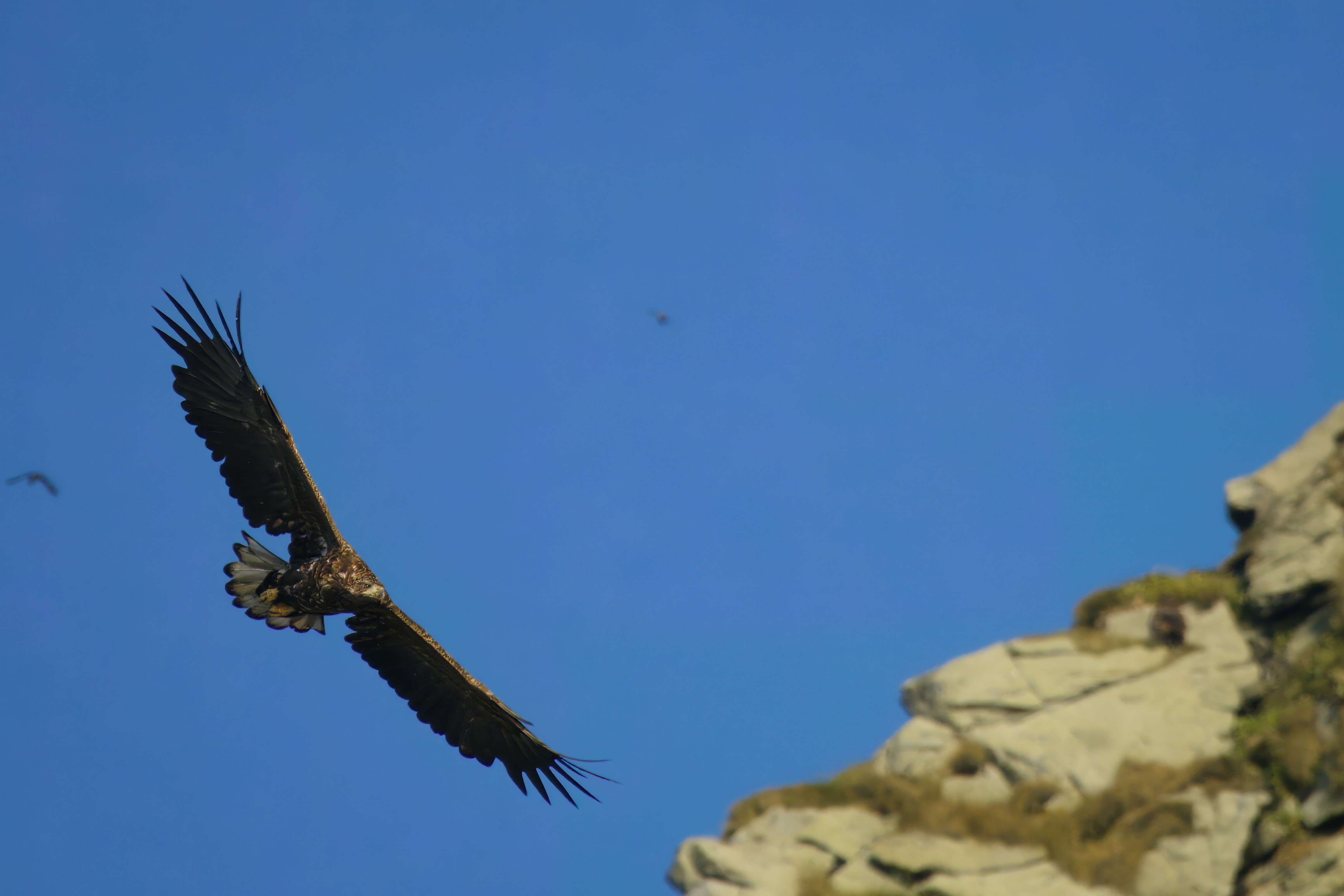 Photo by timschroeer