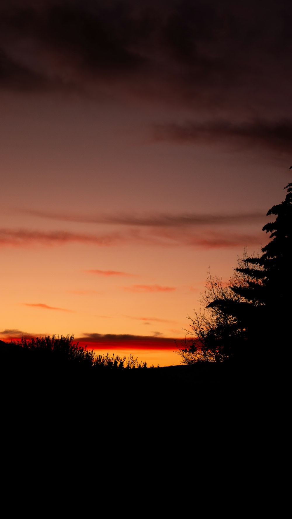 a silhouette of a person holding a frisbee at sunset